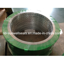 Spiral Wound Gasket with Green Epoxy Coated